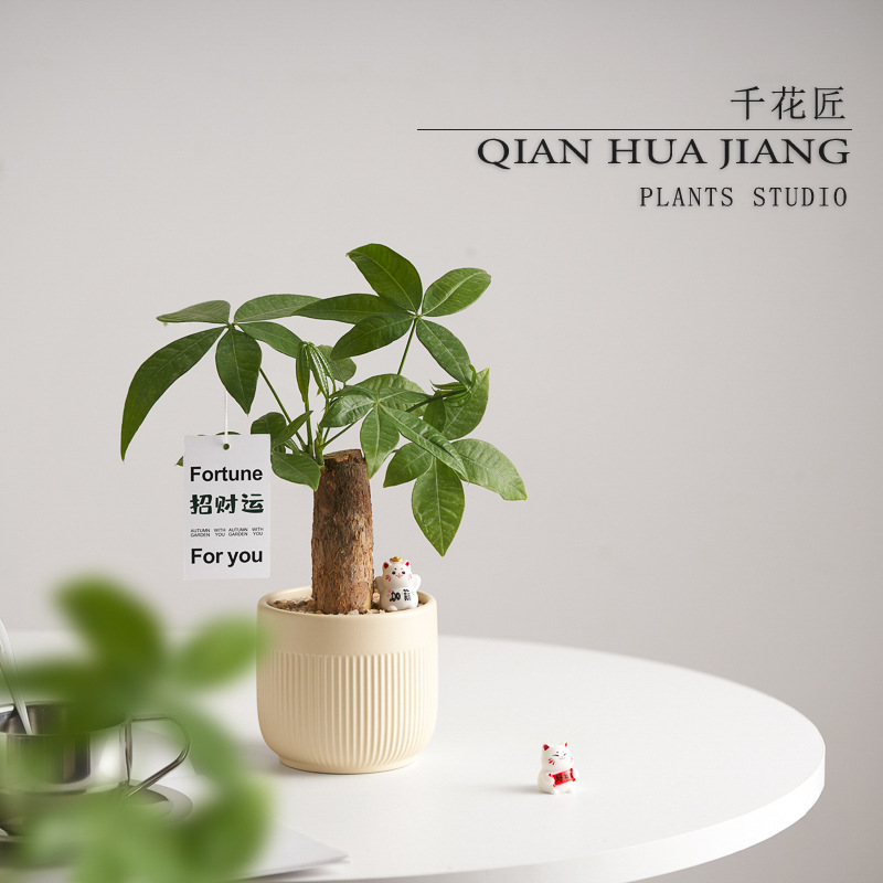 Fortune Tree Creative Living Room Office Indoor Potted Plants Green Plant Ornaments Lazy People Good Plant Flower Fun Desktop