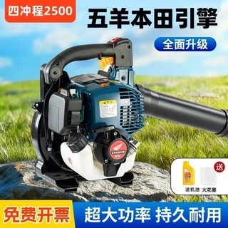 引擎手提式汽油吹风机吹雪机大功率背负式风力灭火机批发厂家