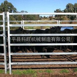 Galvanized Pipe Bull Pen Fence Livestock Fence Cattle Fence Movable Horse Fence Farm Isolation Protection Fence
