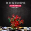 16cm high pepper grass [dark red]
