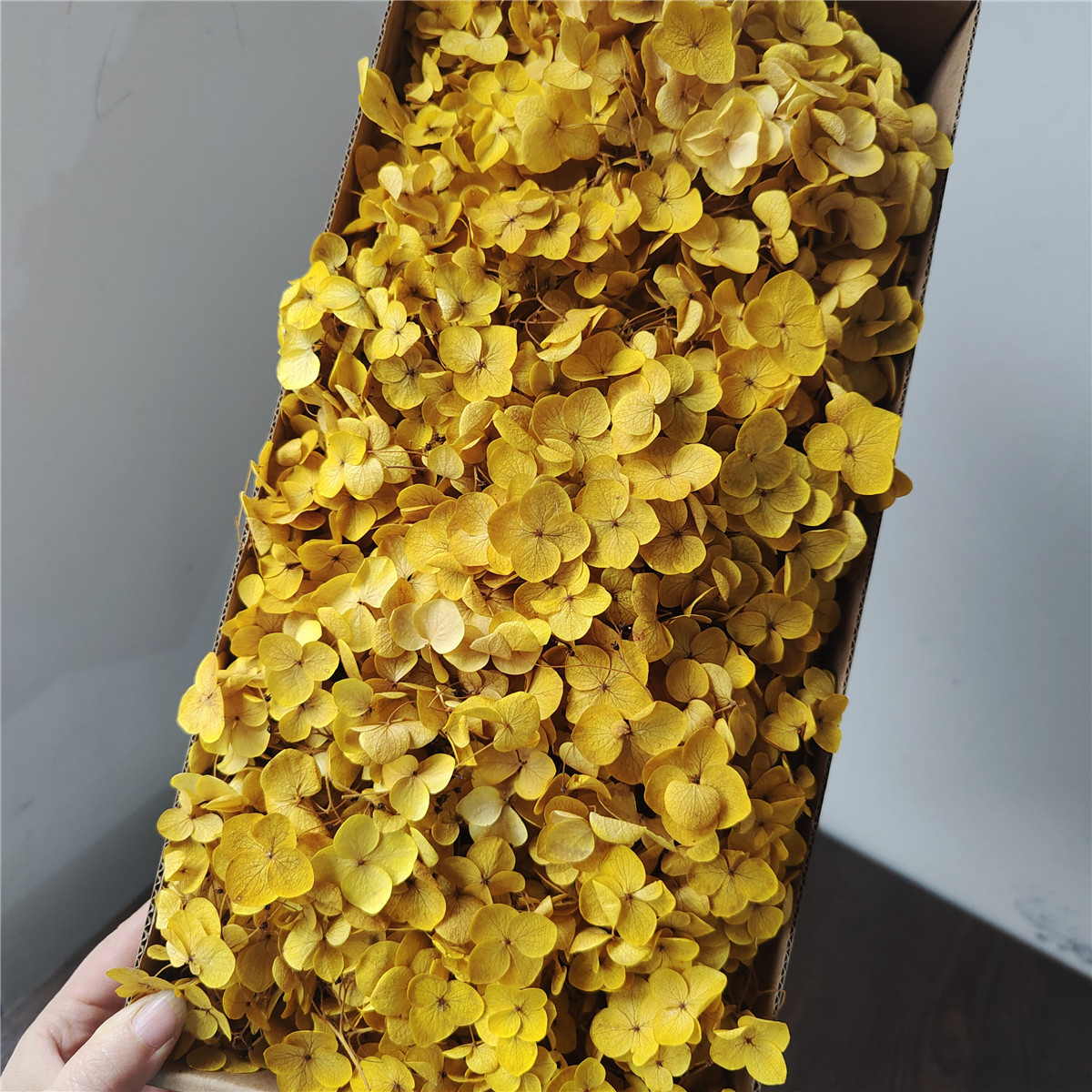 Flor eterna Hortensia Anna pequeña hoja flor seca flor real árbol de Navidad ventilador hecho a mano ramo DIY material paquete flor