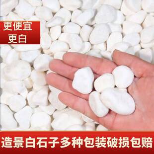 ��ʯ�����l�·䁵��b�ͥԺ�̨�쾰С�^�@�ֻ��@���^ɫ�Z�Ѵ��l