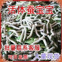 �Q�������w��z��ɫ�����Q�W���B�Q���b�s���Q���g3�g�Q����ɣ�~