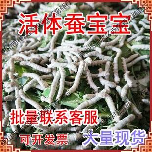 �Q�������w��z��ɫ�����Q�W���B�Q���b�s���Q���g3�g�Q����ɣ�~