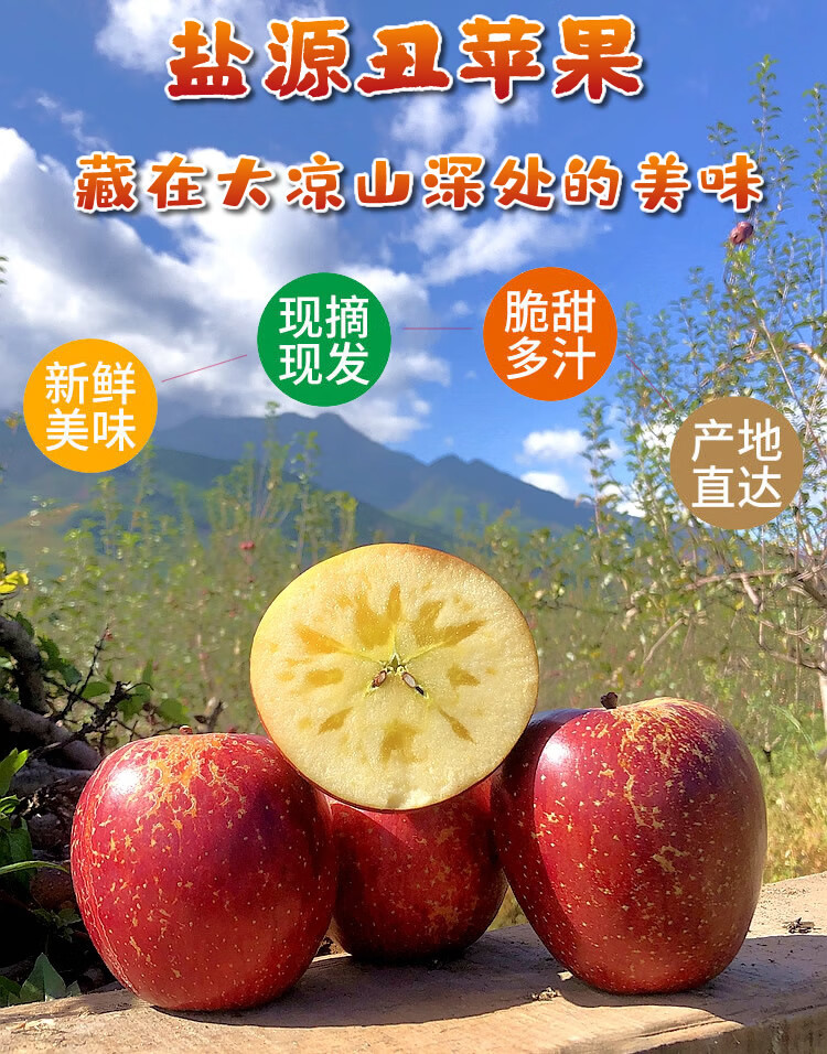 一键复制_20221007120324