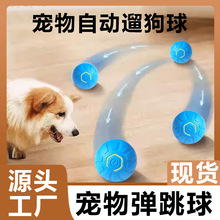 �����򹷹������ҧ���ԄӶ�؈���������˽␞������