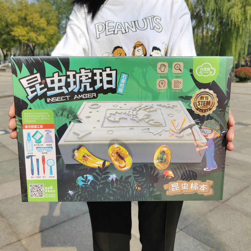 Educational institutions enrollment gift box insect amber gem excavation archaeology children's educational toys night market stall wholesale