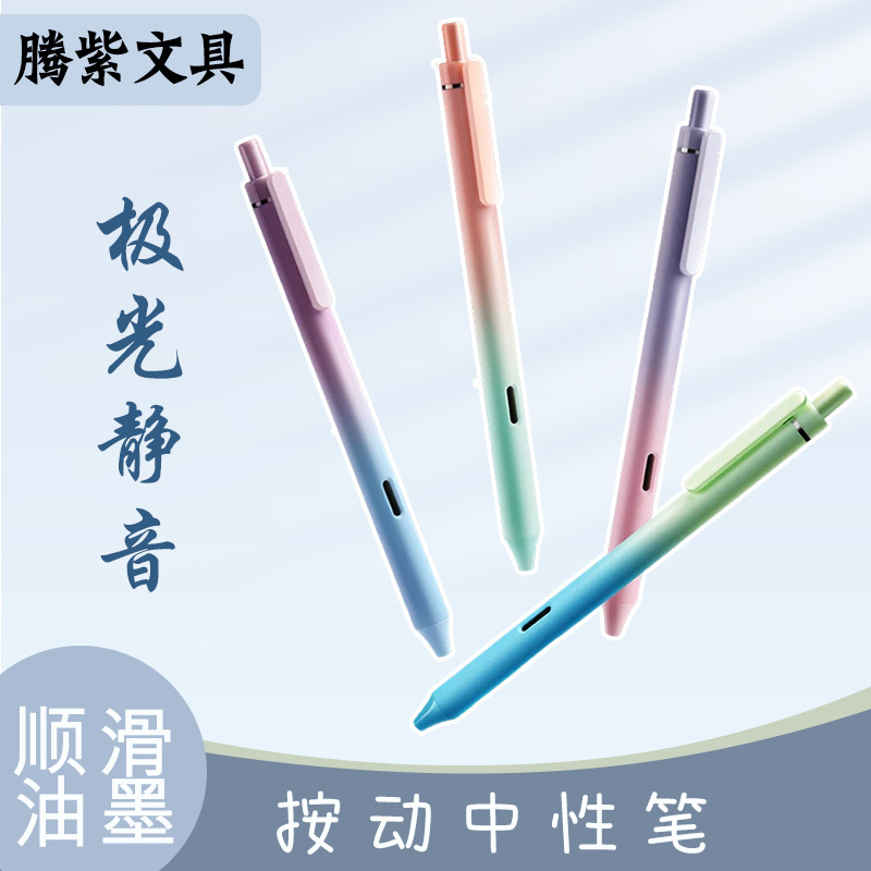 Dianshi DS-0171 Aurora mute push gel pen quick-drying frosted design large capacity student stationery wholesale