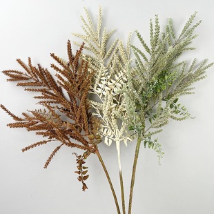 �����ɽ�ݴ�֦�Ҿ��b����ϲ�����Ӱ巿��ˇ�zӰ����ֲë�~���S