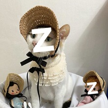 宠物帽子狗猫咪夏天防晒遮阳草帽可爱休闲泰迪比熊英短通用太阳帽