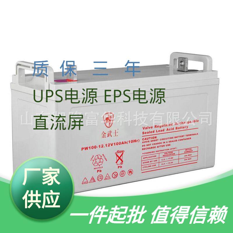 PW100-12金武士铅酸电池EPS直流屏UPS不间断电源用12V100AH蓄电池