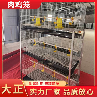 �������w���u�u�\ �����\�����u�\�Bֳ�O�� ��\�z���u���u�Bֳ�\