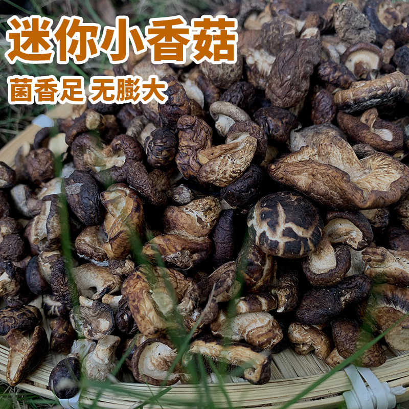 迷你小香菇干菌菇特级天然野生煲汤吃云南腾冲原始森林特产500克