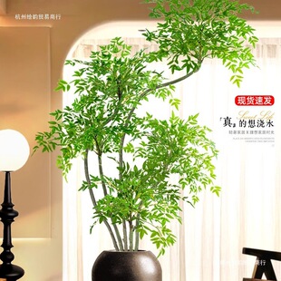 �������p���L�٘��҃ȿ͏d�b[������쾰�����Gֲ���Խ����O��