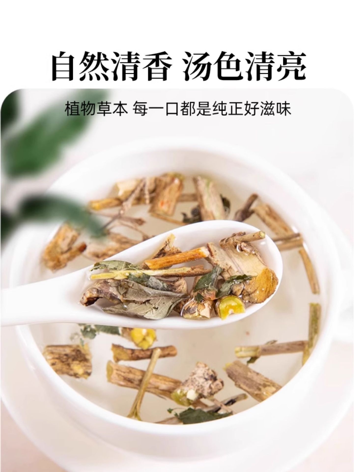June Snow Herb Liu Yue Xue 500g x 2 Jars Dried Serissa Herb for Traditional Decoctions in use
