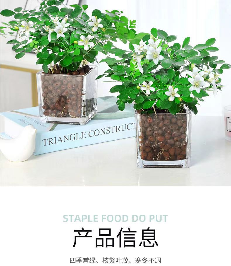 微信图片_20230318080521