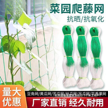 爬藤网农用植物山药黄瓜豌豆苦瓜豆角丝瓜吊瓜百香果攀爬网种植网