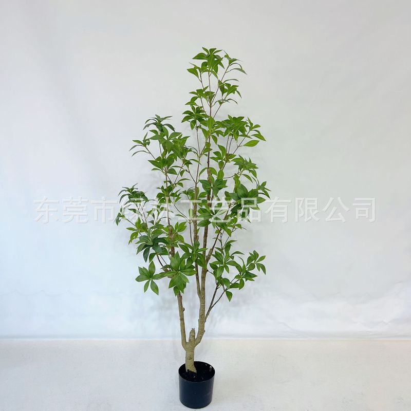 シミュレーション馬酔木着地鉢植え緑植物室内ショーウインドー造景装飾日本吊鐘ネット赤緑植|undefined