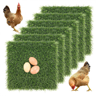 �羳�����ƺ�|����DIY�ٲ�ƺ��̺����Gɫ¶̨ͥԺ�b�ƺ�ü�