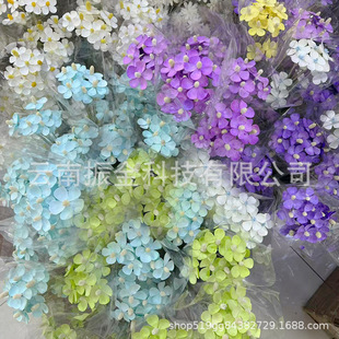 Florist Violet Immortal Flower and Wood Piedle Flower Flower with Flower Dried Flower Phalaenopsis Fruit Shell Flower Handmade Flower Shooting Props