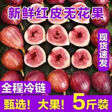 红皮新鲜无花果新鲜水果孕妇水果当季水果非青皮四川无花果包邮
