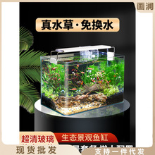 鱼缸造景全套热弯玻璃缸客厅小型桌面免换水生态草缸迷你金鱼缸