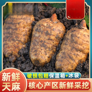 �������r���С�݉��ؼ���Ұ����ș����Ʒ500g�F�ڬF�l������Ş��