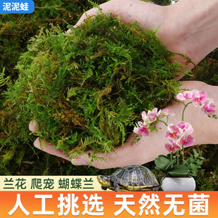 ˮ̦�����m���ø�̦�\�I�B����̦�\ֲ��Nֲ���������������߉|��