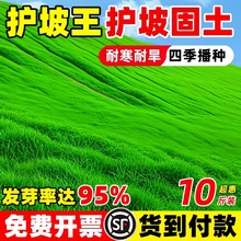 �ļ������o�¹����ͺ��ͺ�߅�¾G����ƺ�������޼������ݸ���é��