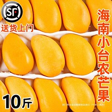 海南小台农芒果10斤新鲜现摘小台芒应当季热带水果特产芒果包邮5