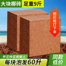 9���KҬ�u�I�B���B��ͨ����Ҭ�Ӛ�����Ү�u�N������Ó�}Ҭ���u