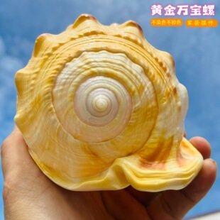 �Sɫ�f������Ȼؐ�������ղ��~��ˮ���쾰��ˇƷ�Ӽ��b[��