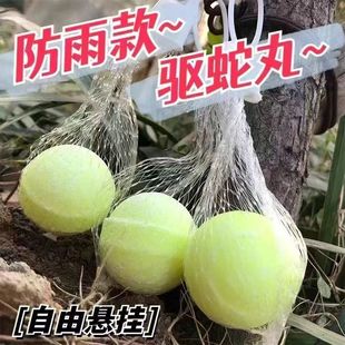 ����菊Ч���Ñ�������S�����¿���x����