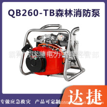 QB260-TB����ʽɭ��������Զ������ˮ�������ñ�Я������ˮ��