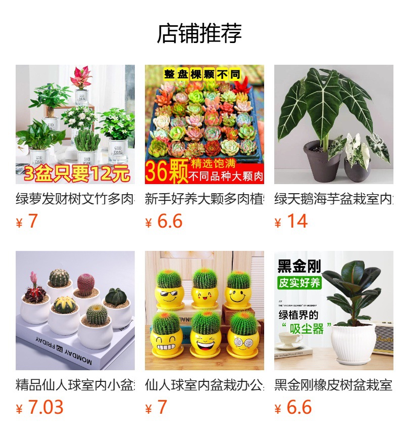 详情图