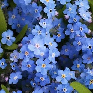 �����һ��N��������΢���x�����ļ����N�̨ͥԺ���ܷN����ѻ�