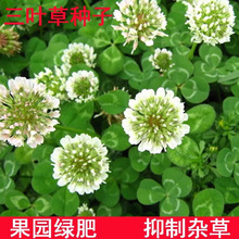 ���~�ݷN�Ӱ����~���Ѽt���~�����ļ����ƺ���ݹ��@�G���ļ����N