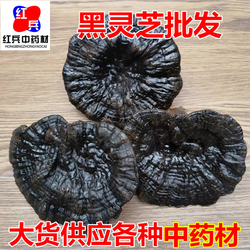 Changbai Mountain Black Reishi Lingzhi Whole Dried Mushroom Traditional Herbal Decoction overview