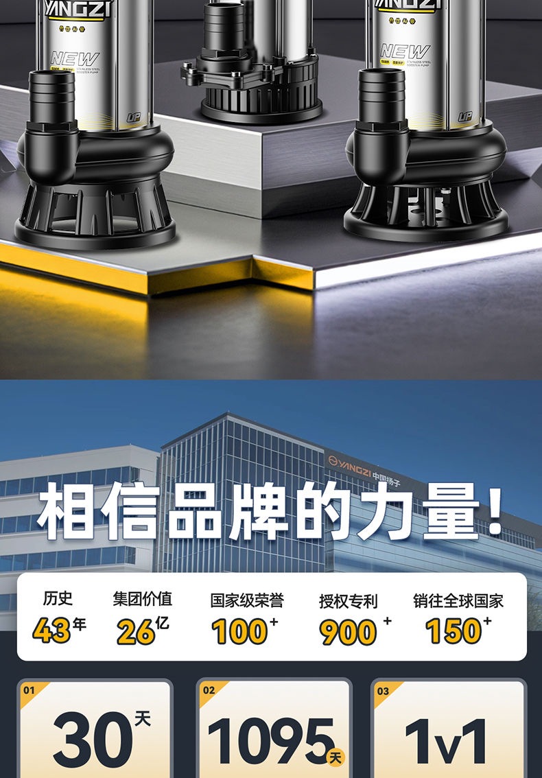 Yangzi Dc Submersible Sewage Cutting Pump 12V/24V/48V/60V Universal Electric Battery Car Water Pump 2