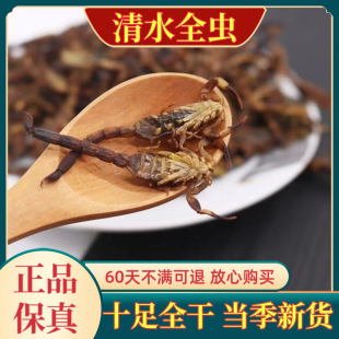 ��ș��ȫ��ȫϐ ��ˮȫϐ �o�}ȫ�x ��ˮϐȫϐ����ș�� ϐ�Ӹ�