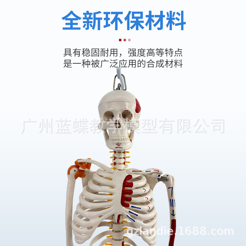 85CM���弡������ṹ�ʹ�ȫ���Ǽ�ģ�Ϳɲ�ж��׵�٤С������