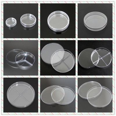 35/60/70/90/100/120/150mm Plastic dish disposable