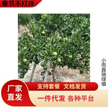 ���Ә����o������ɰ���ٽ�۸̽������Ϸ������ļ��Nֲ����Y��