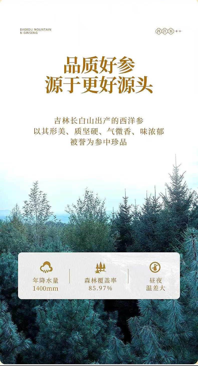 American Ginseng Slices Xi Yang Shen Large Cut Root Slices for Tea and Soup 50g key features