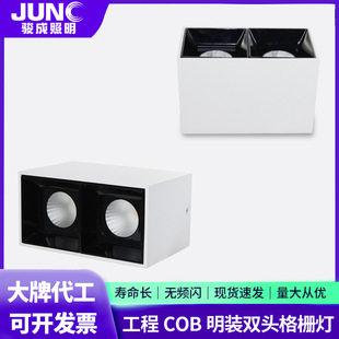 Big Brand Oem Hotel Engineering Cob Surface-Mounted Double-Head Grille Light Without Main Light Lighting Commercial Shopping Mall Anti-Glare Spotlight