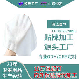 清洁湿巾小包便携湿纸巾免水洗强力去污清洗衣物去渍OEM贴牌代工