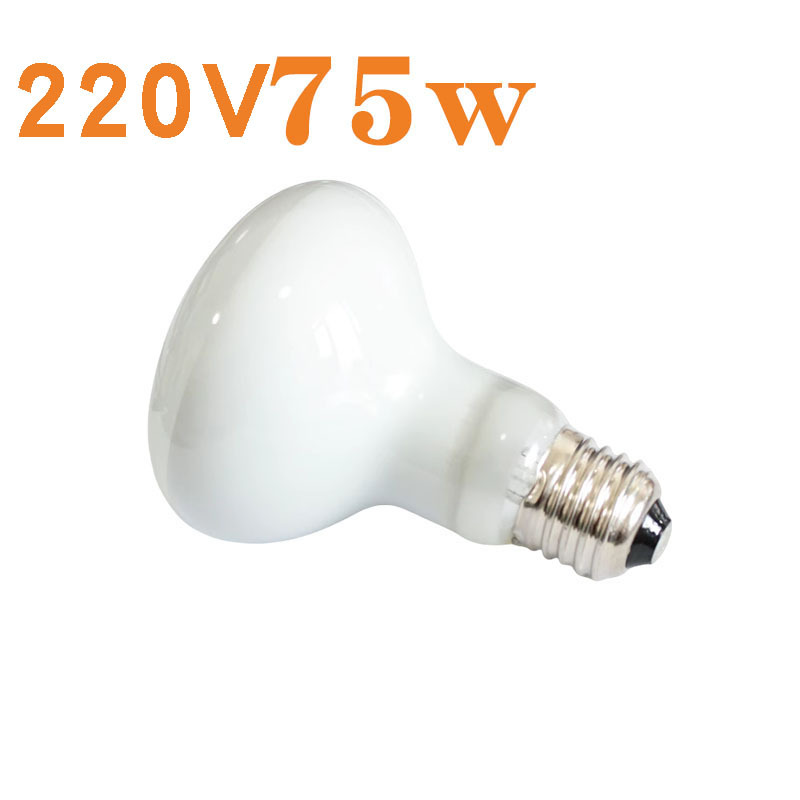 R80 열대우림 일광 램프 220V 75w