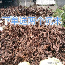 沉木紫柚木杜鹃根流木虾龟鱼插花素材鱼缸造景微景观根雕摆件晒台