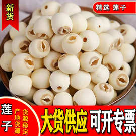 湘潭莲子去心去皮白莲子无芯干货磨皮白莲子批发莲子煮粥现货直发