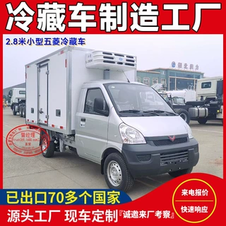 2.85米小型五菱冷藏车1.5排量汽油冷藏车 生鲜冰激凌医药品冷冻车